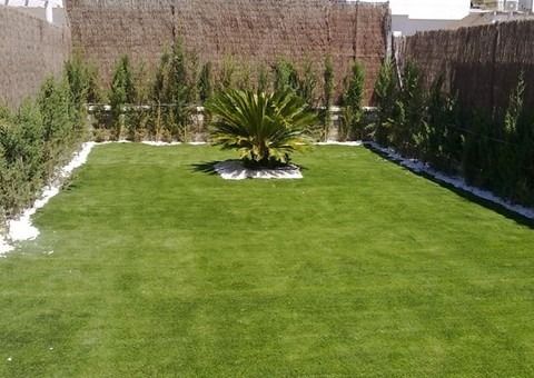 Un exuberante césped verde con una palmera en el medio.