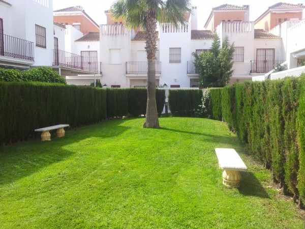 Un exuberante césped verde frente a una hilera de casas