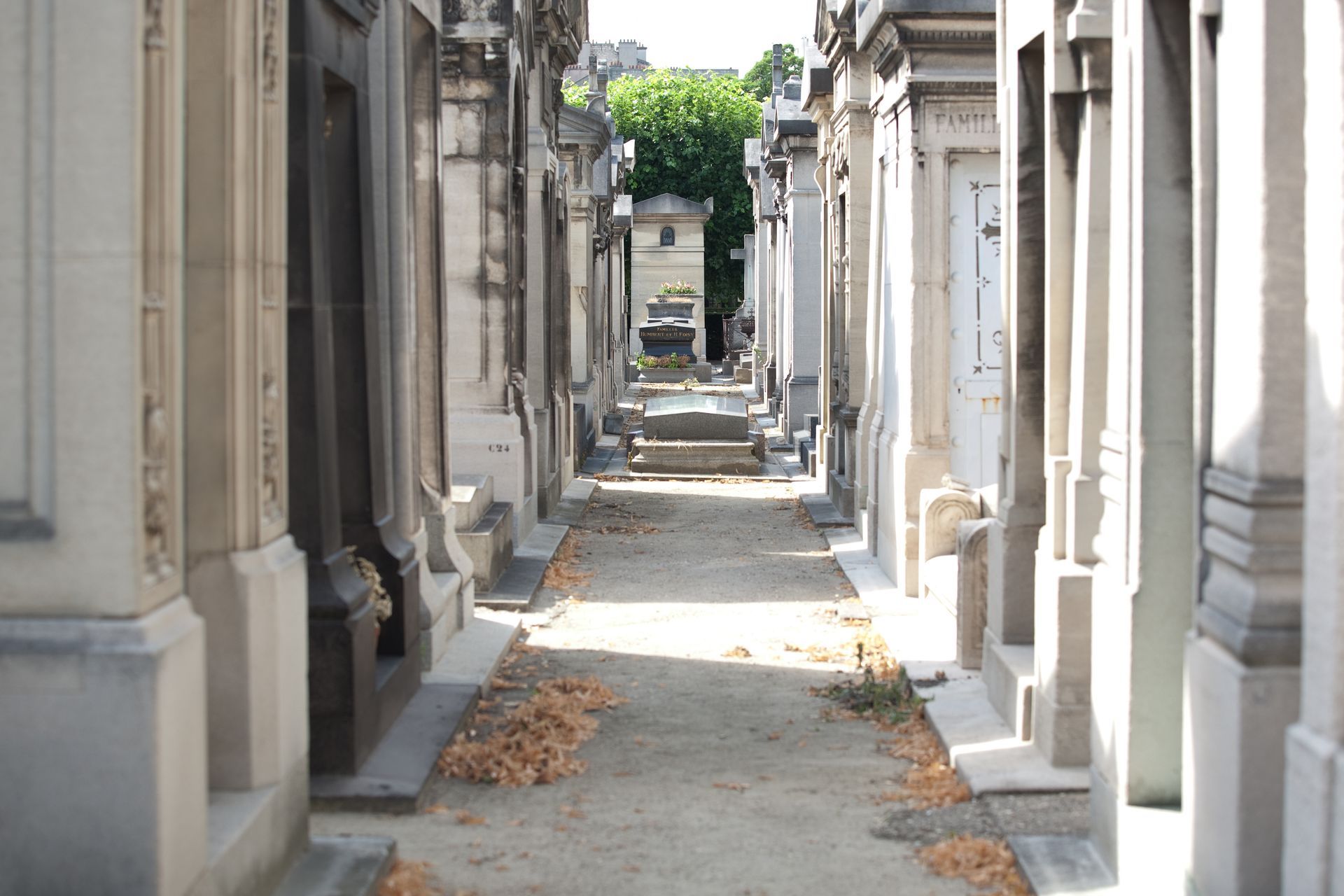 allée de cimetière avec des monuments familiaux