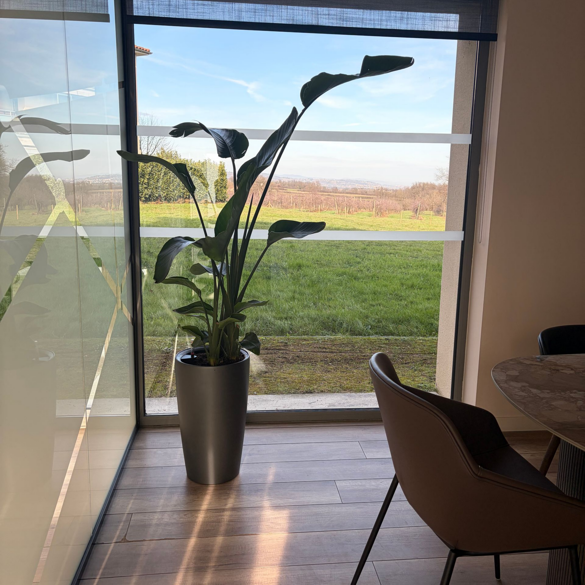 Main d'une personne tenant un stylo blanc, écrivant sur un document.