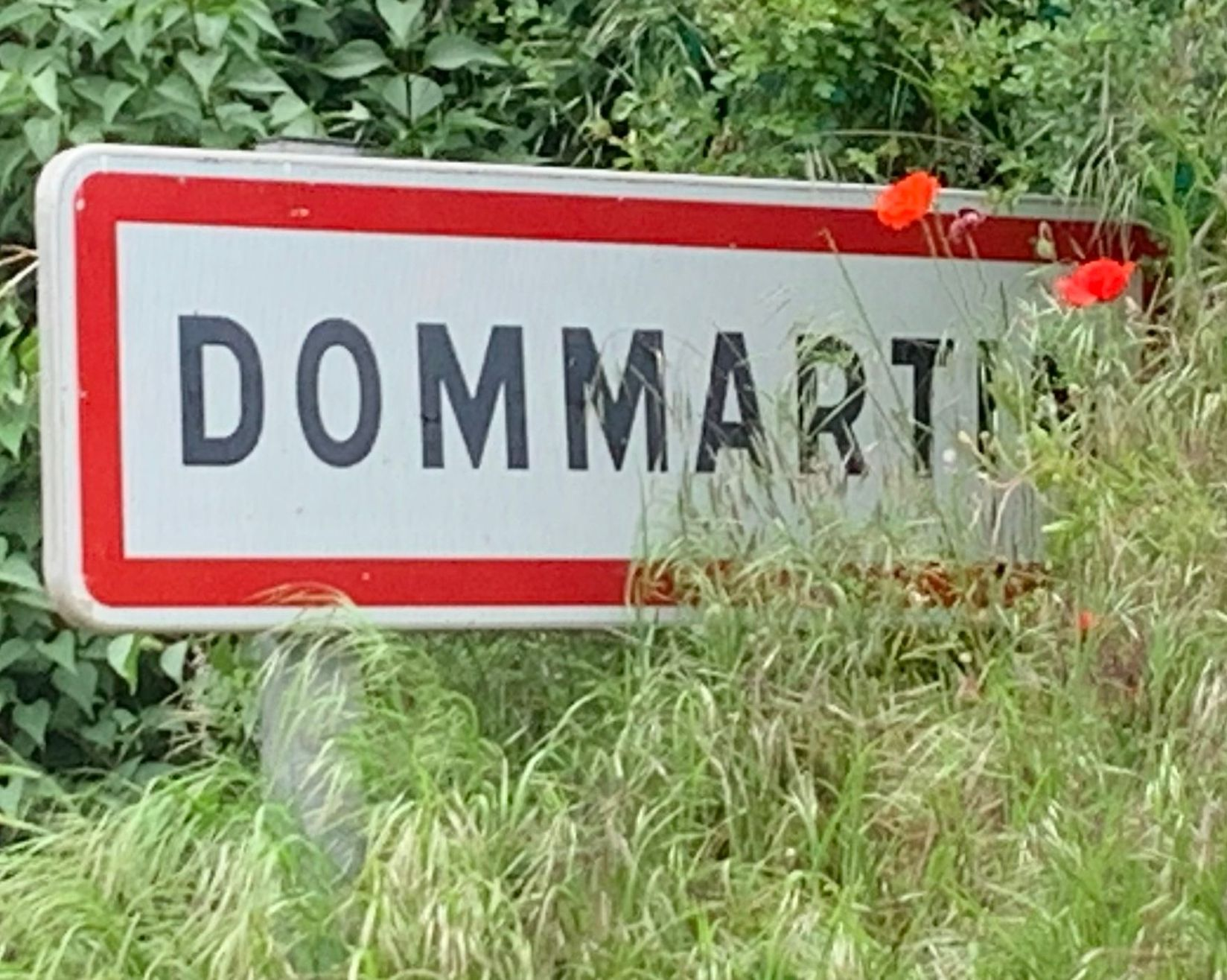 Panneau routier DOMMARTIN à bordure rouge, entouré d'herbe et de feuillage.