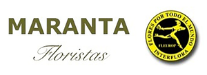 logotipo cabecera