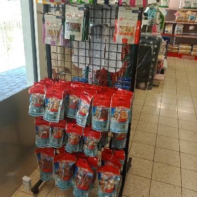 jouets pour chats