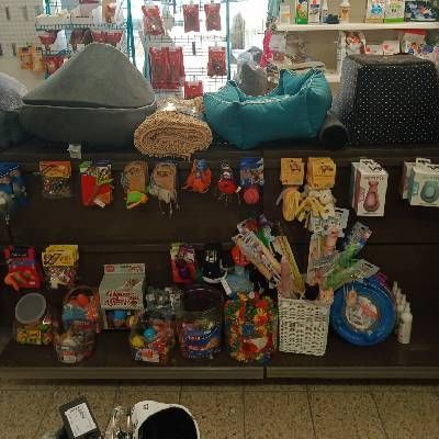 nourriture pour chiens