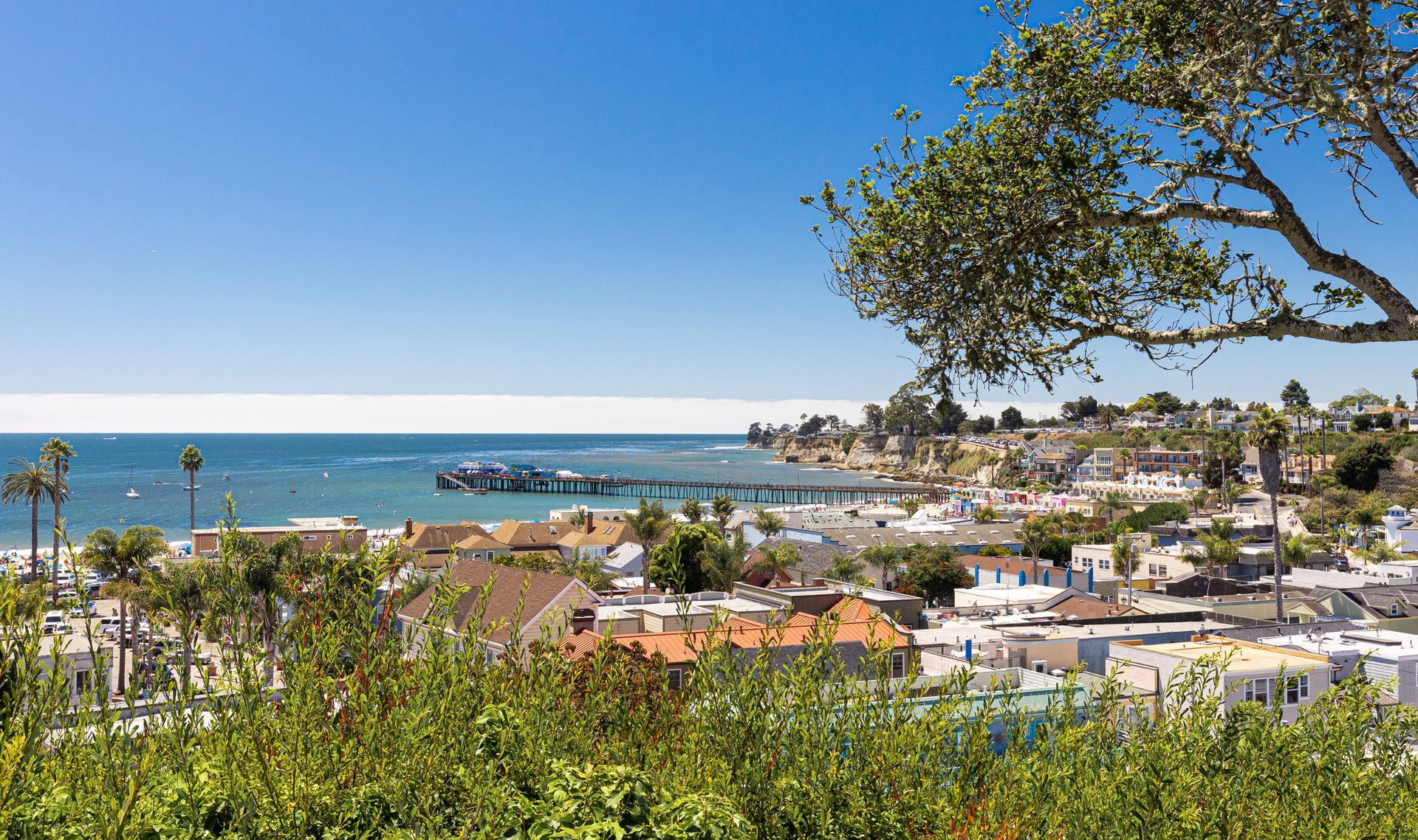 a view of a city with the ocean in the background