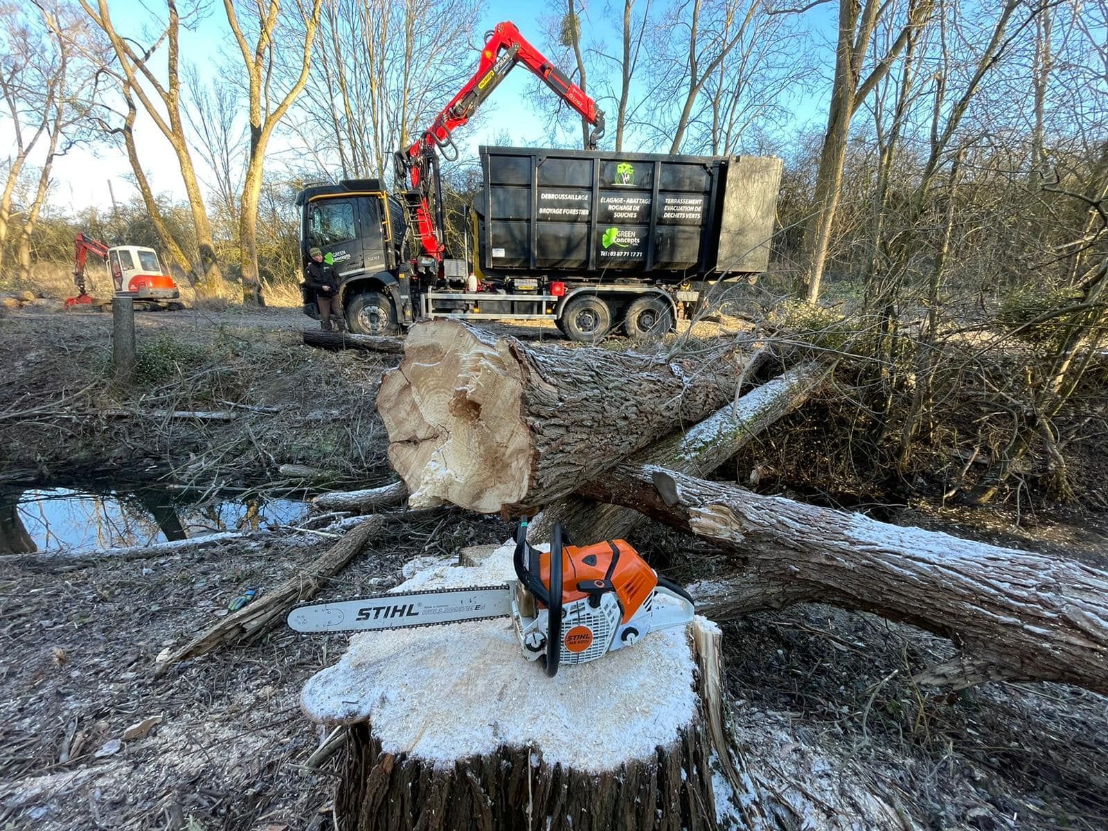 Arbre abattu, un camion et une tronçonneuse