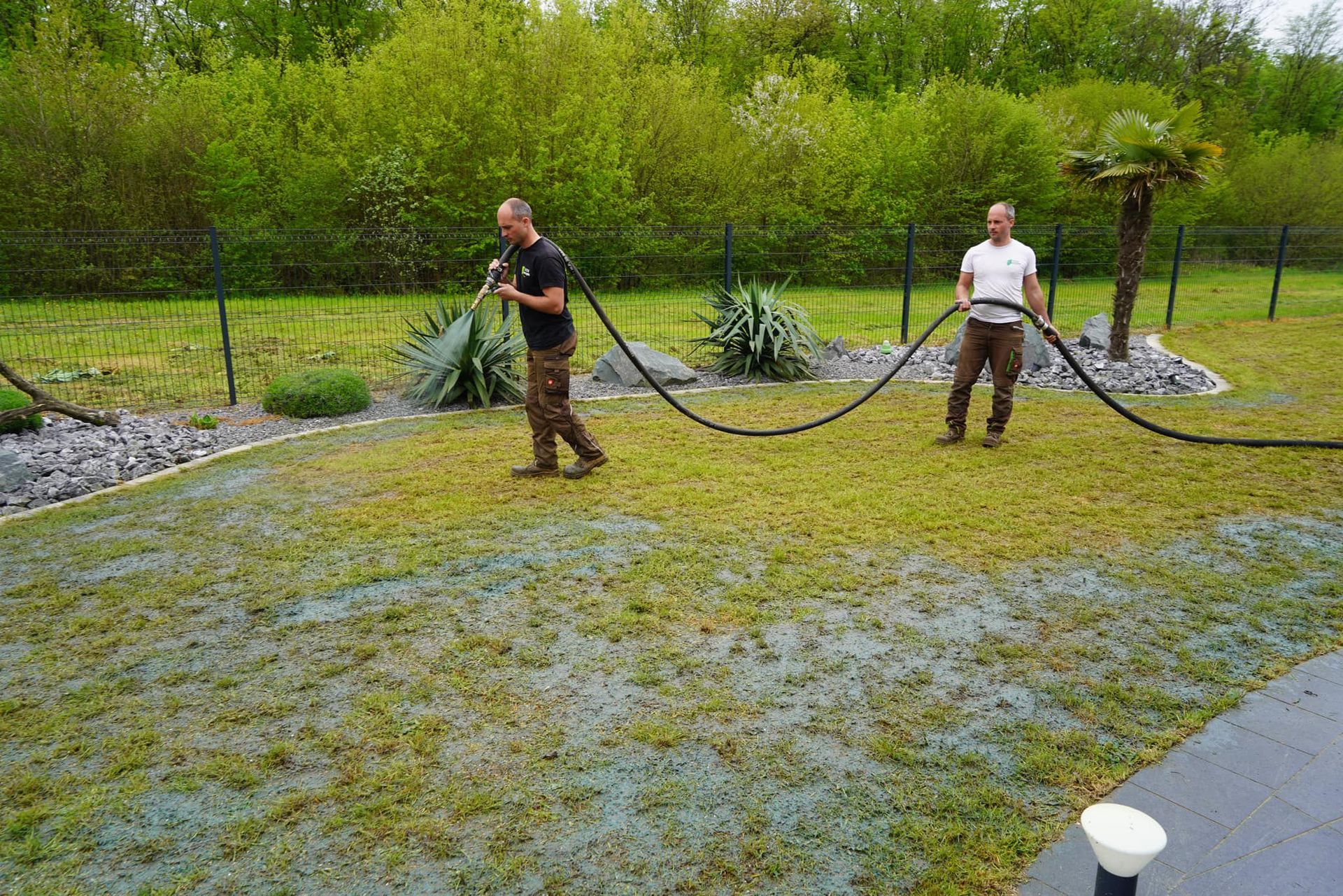 Ensemencement de pelouse par hydroseeding par deux ouvriers