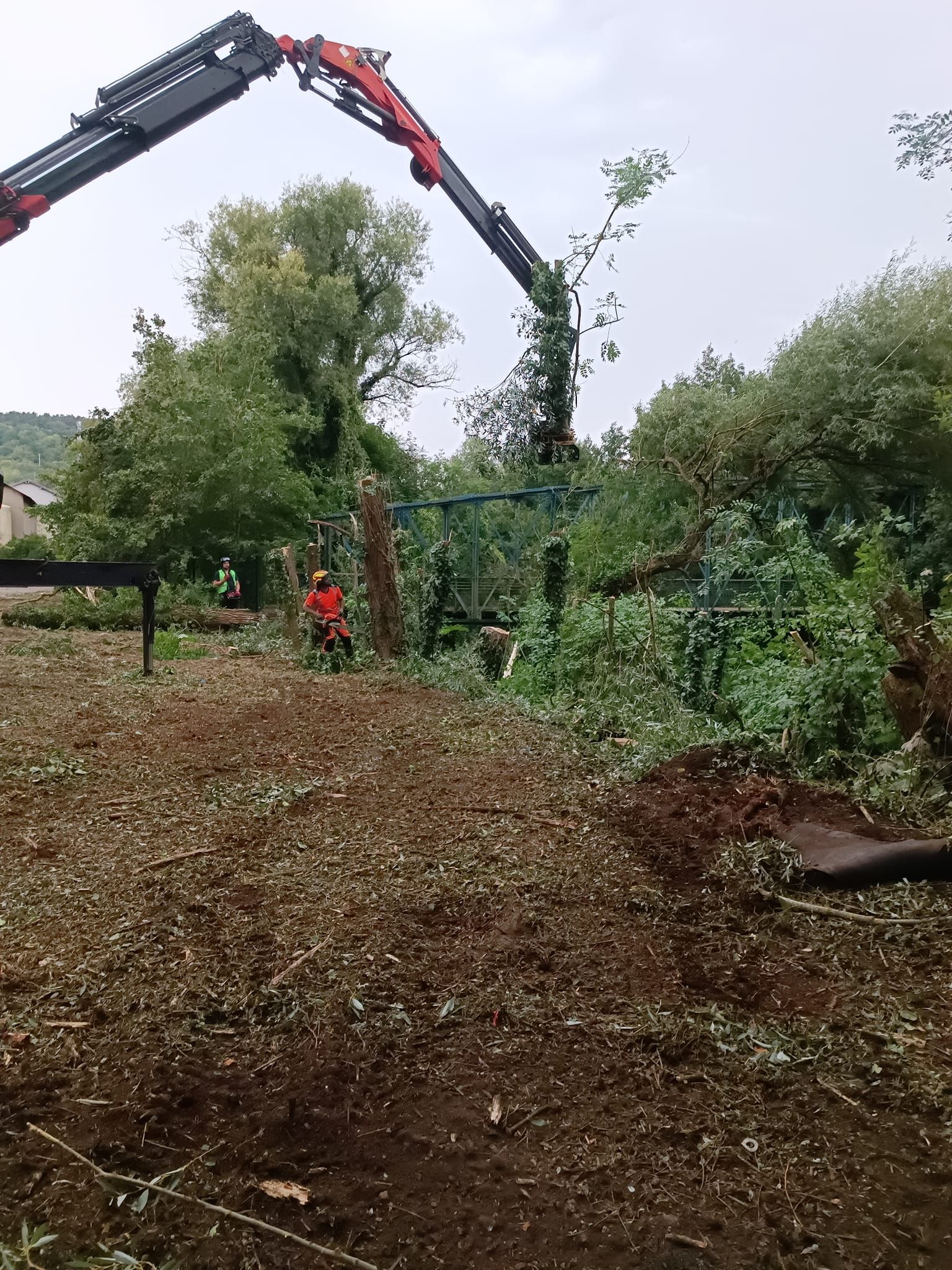 Débroussaillage d'une zone forestière