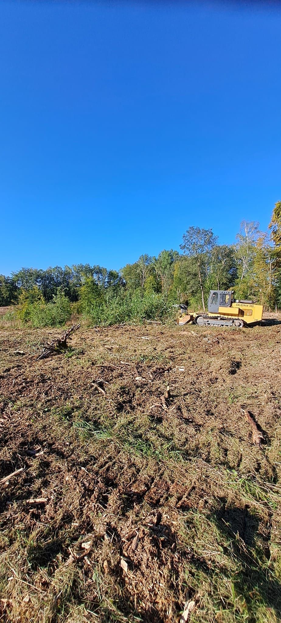 Débroussaillage de terrain