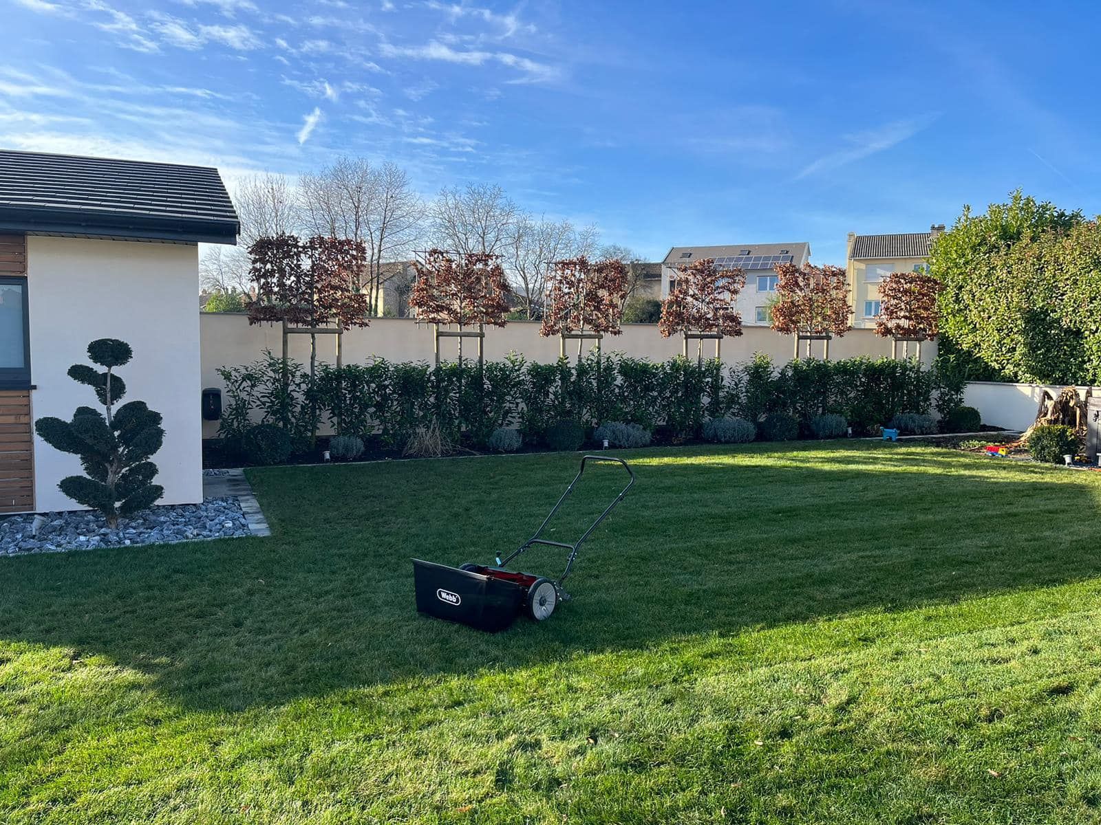 Scarificateur dans un jardin tondu