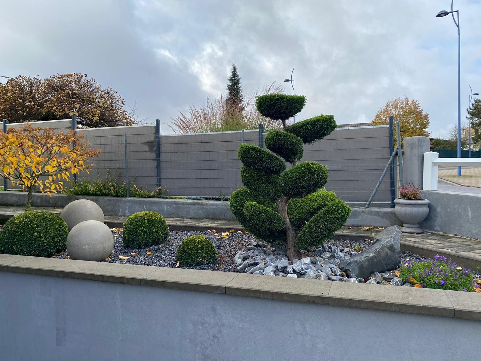 Massif de jardin rempli de plantes