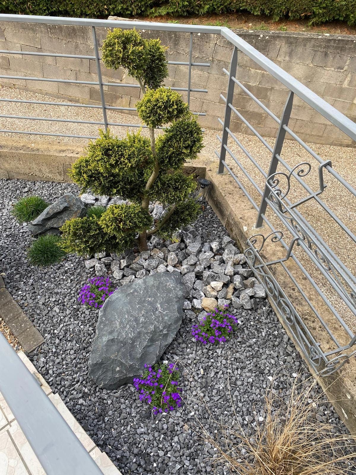 Petit jardin paysager avec topiaire taillée, rochers gris, fleurs violettes et une rambarde métallique le long d'un mur.