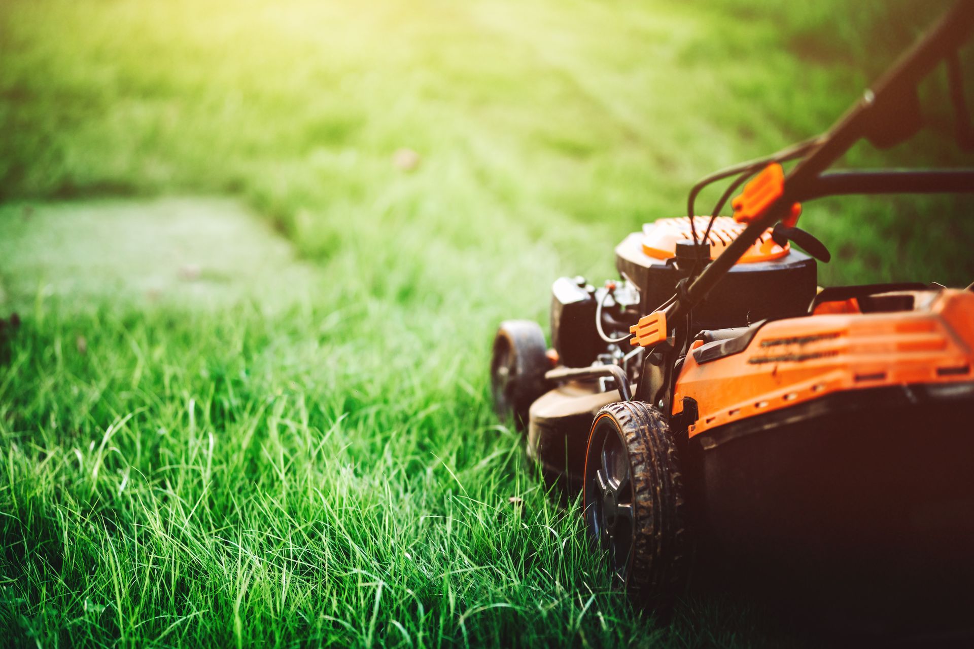 Tondeuse dans un jardin