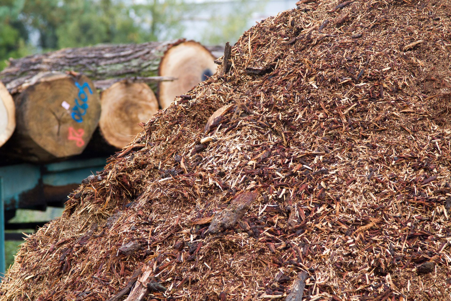 Copeaux de bois servant de compost