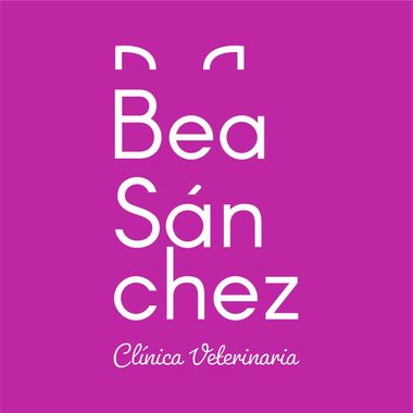 Bea Sánchez, texto blanco sobre fondo magenta: nombre de la clínica, Clínica Veterinaria.