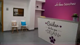 Área de recepción con mostrador blanco, sillas y detalles morados. Letrero