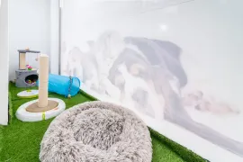 Zona de juegos para gatos con rascador, túnel, cama y césped artificial.