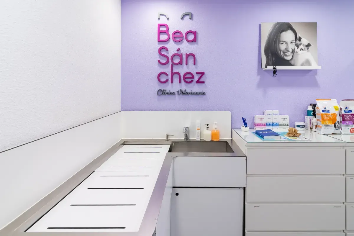 Sala de examen de clínica veterinaria con paredes de color morado y blanco, lavabo, mesa de examen y suministros.