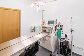 Quirófano veterinario, mesa de acero inoxidable, equipo médico, luz cenital.