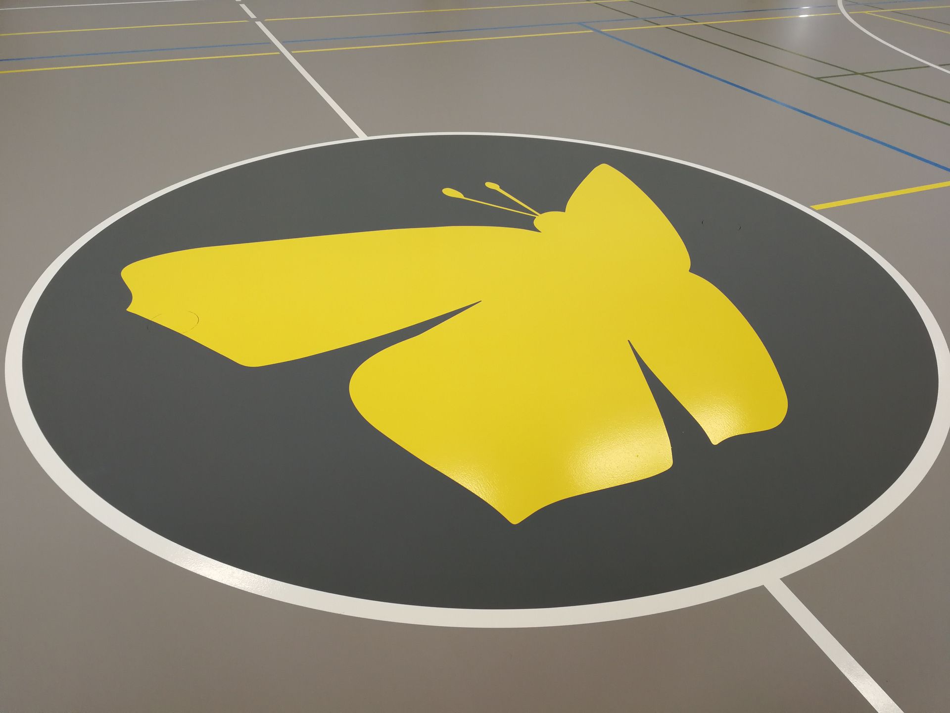 Conica liikuntasalin massalattia, jolla pelataan salibandyä ja koripalloa - kestävä ja turvallinen lattiaratkaisu urheiluhalleihin