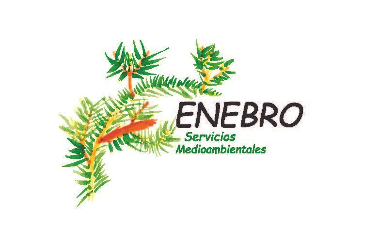 logotipo cabecera