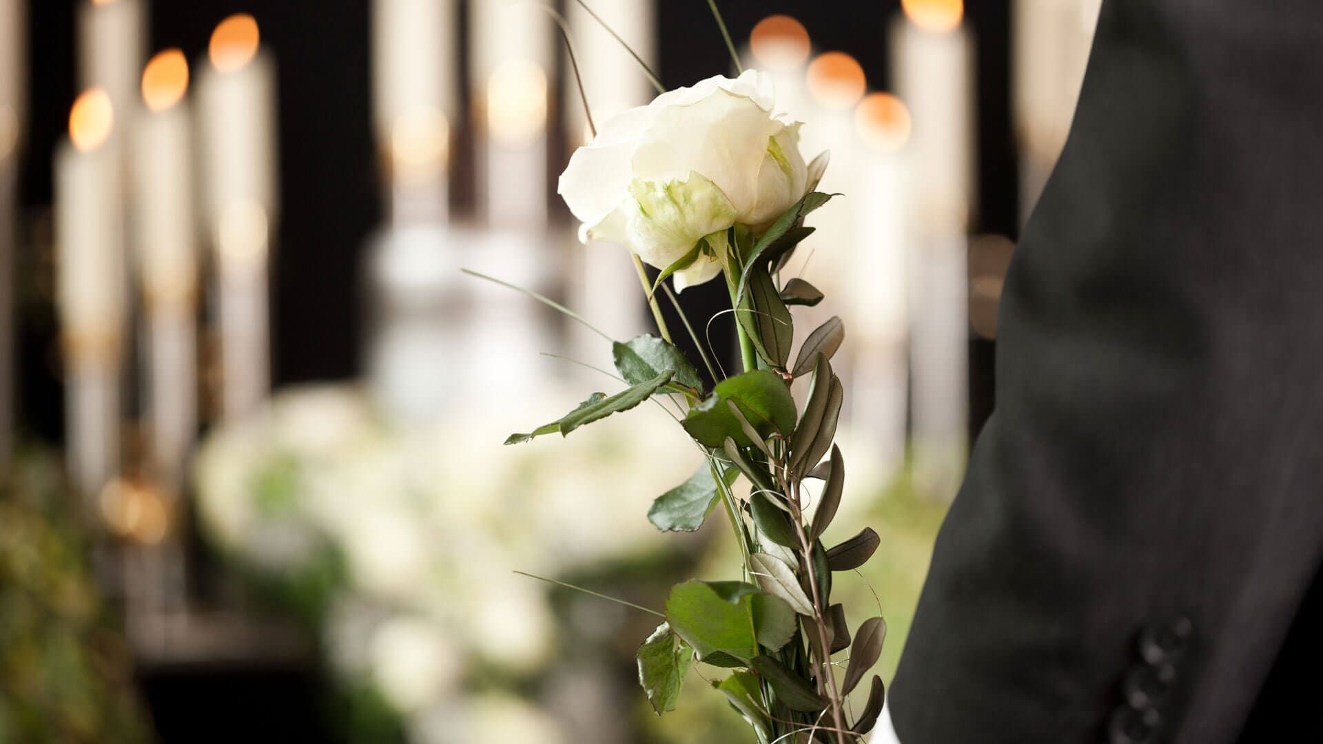 Uma mão segurando uma rosa branca em um memorial. Velas acesas e arranjos florais ao fundo.
