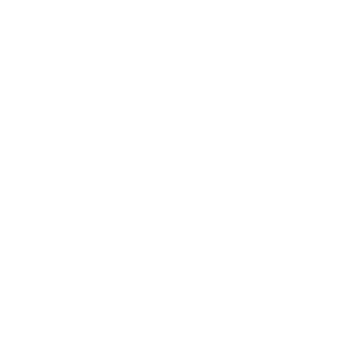 Turun Pintaurakoitsijat
