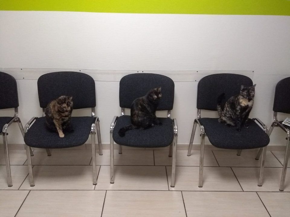 Wartezimmer