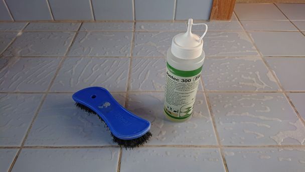 Verena Giger – Gebäudereinigung Felben-Wellhausen