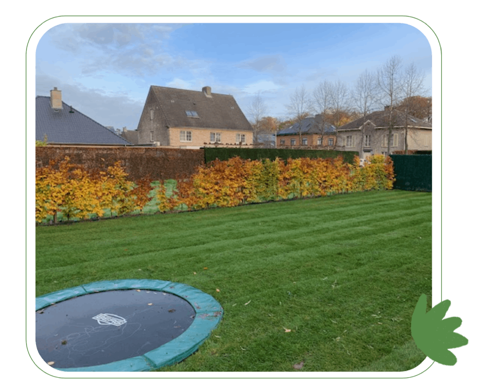 trampoline op gras in een tuin