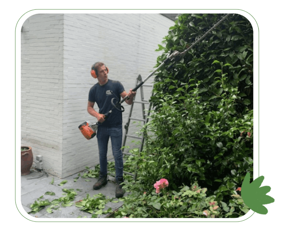 man met een zaag die een struik omzaagt