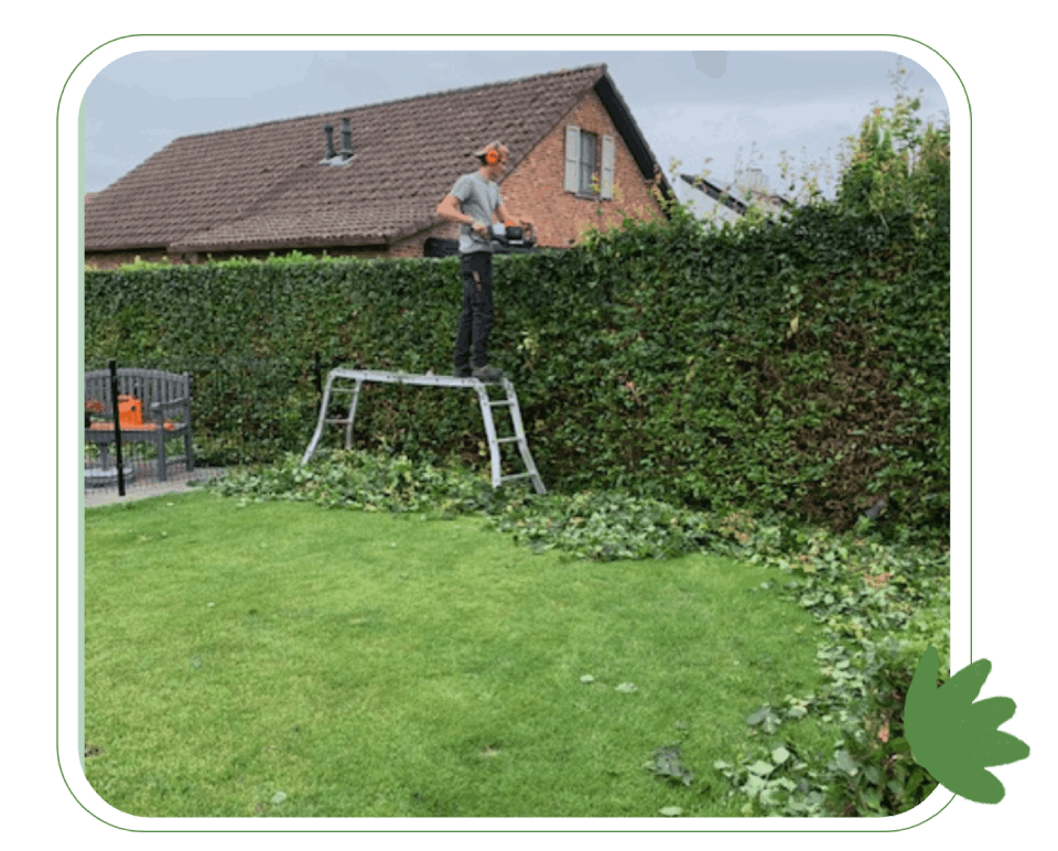 man op lader die een struik trimt