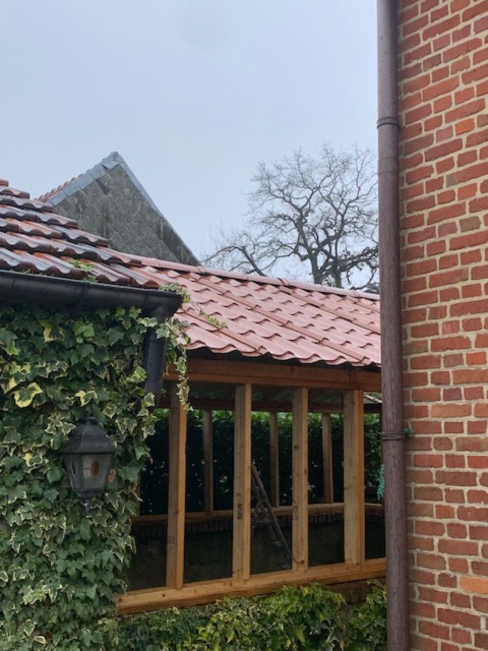 huismuur bedekt met een groene plant