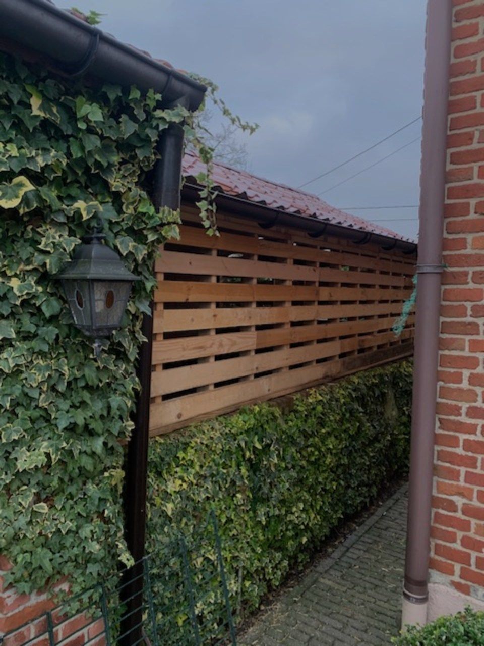 buitenmuur van een huis bedekt met een groene plant