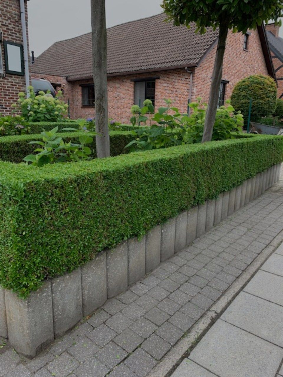 omheining van groene struiken en een huis