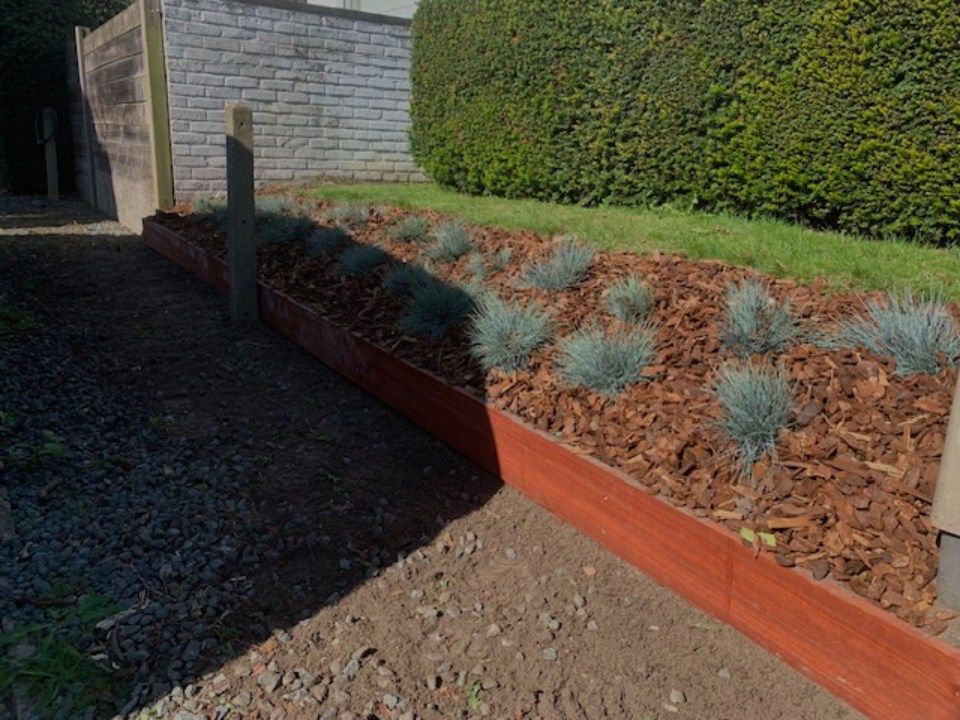 planten langs een pad in een tuin