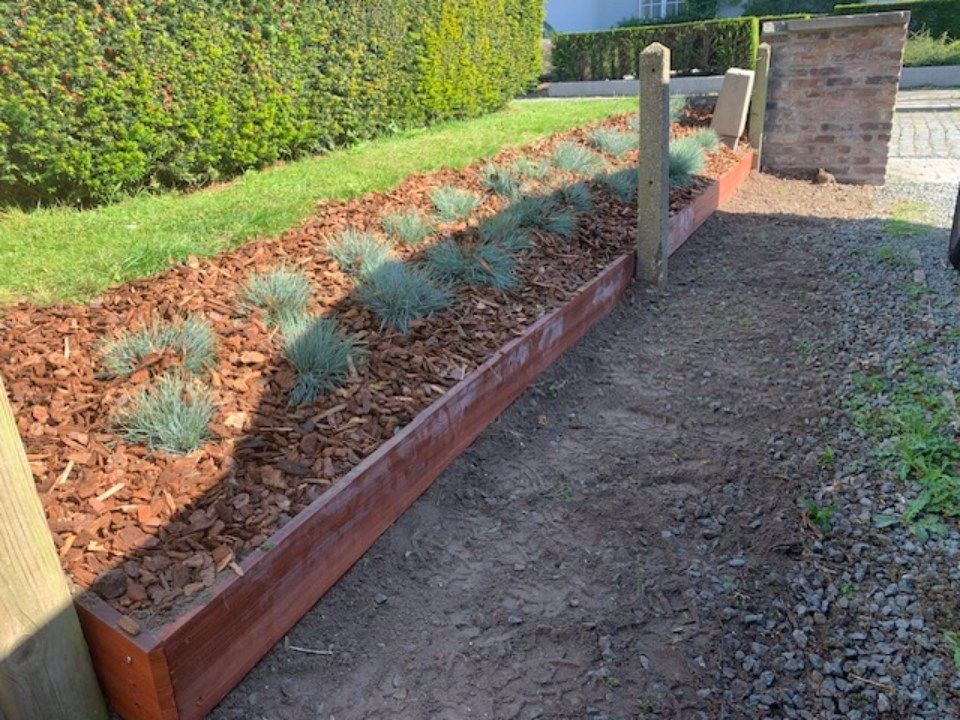planten langs een pad in een tuin