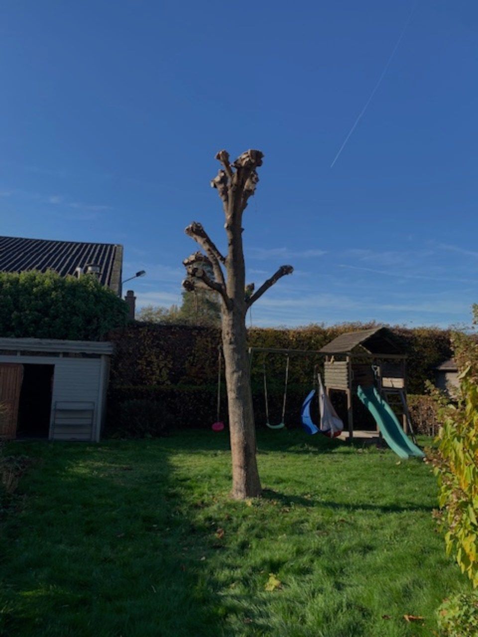 tuin met groen gras en kinderspeelplaats