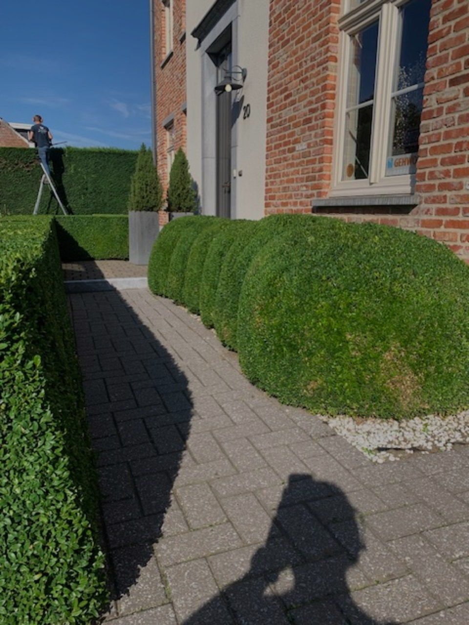 een huis met opgeruimde struiken