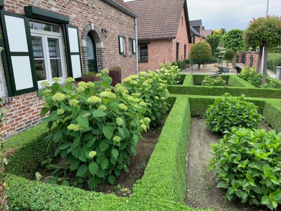 een huis met opgeruimde struiken