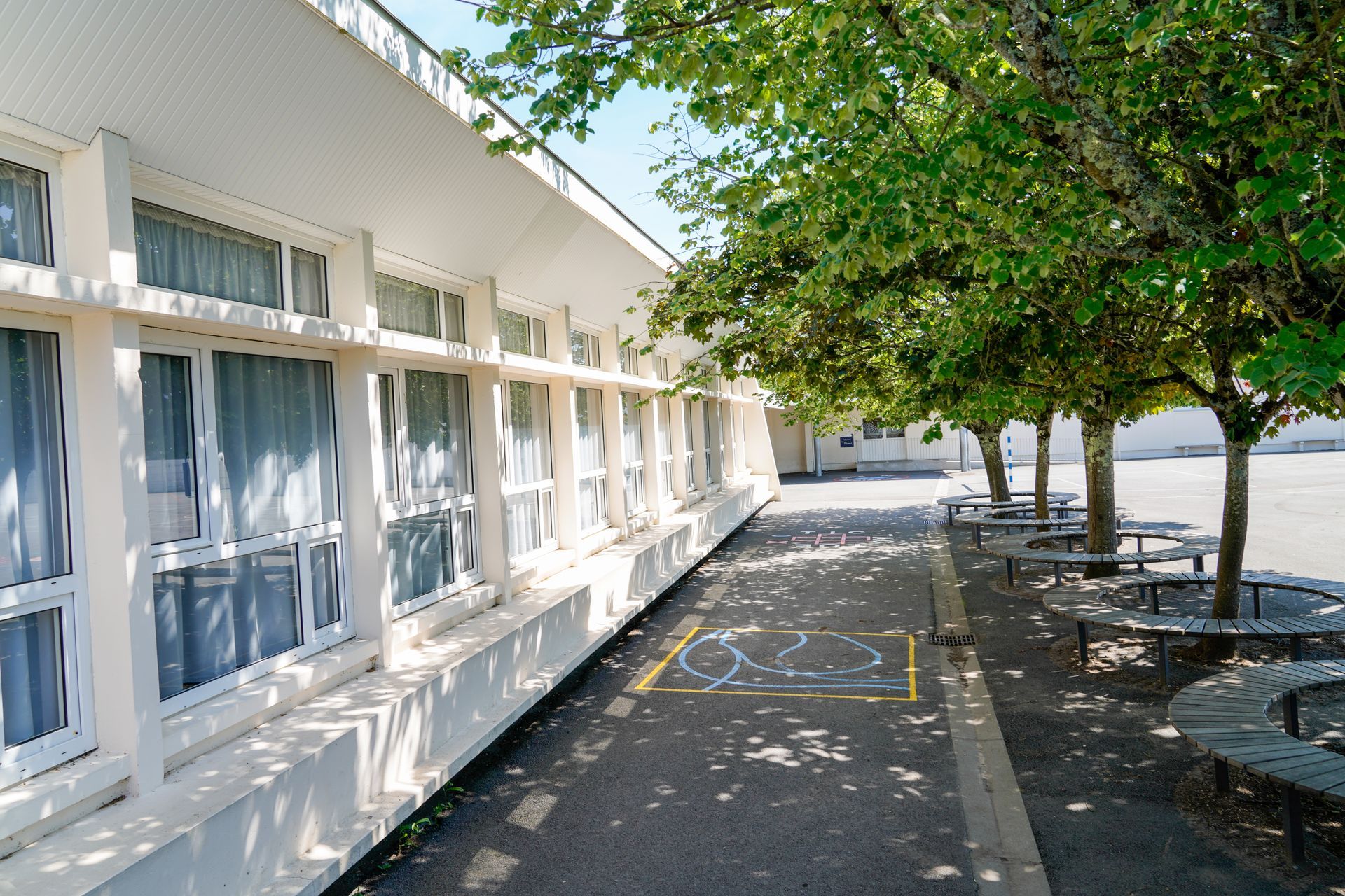 Une cour avec un arbre