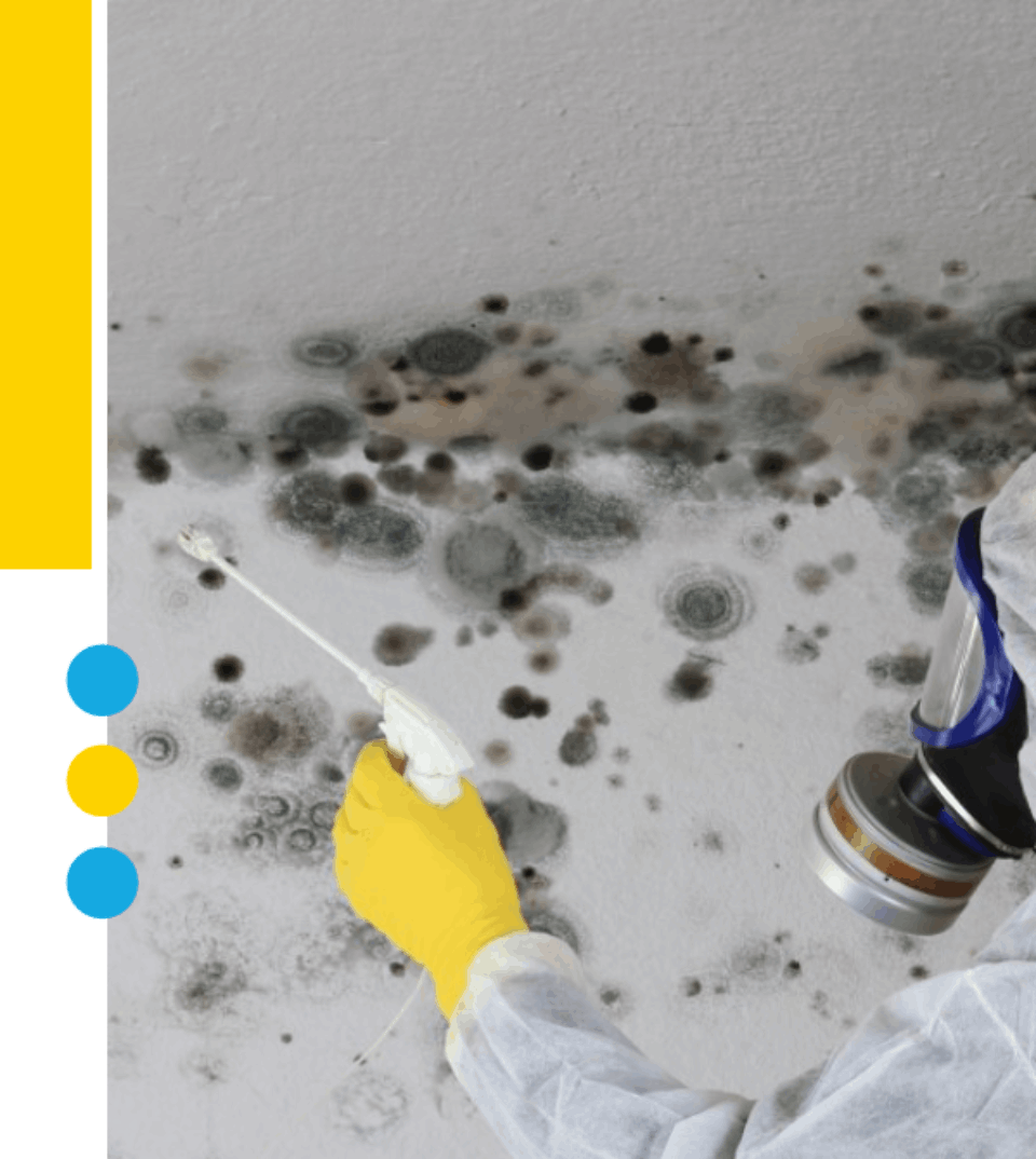 Eine Person bringt mit einem Spachtel Tapeten an einer Wand an, Kühns Maler GmbH