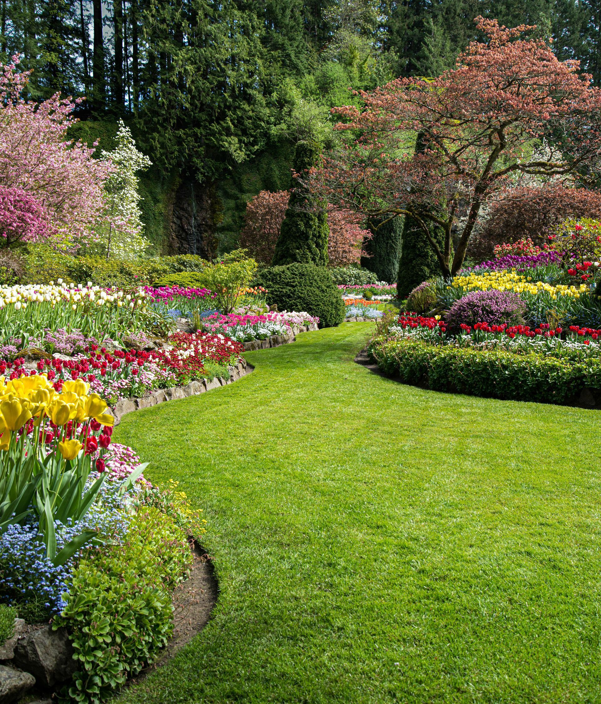Un jardin avec une pelouse bien tondue.