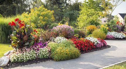Un massif de fleurs à côté d'une allée.