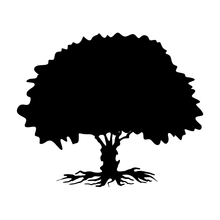 Logo Des Racines aux Feuilles