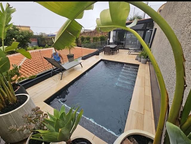 Una gran piscina está rodeada de plantas en macetas.