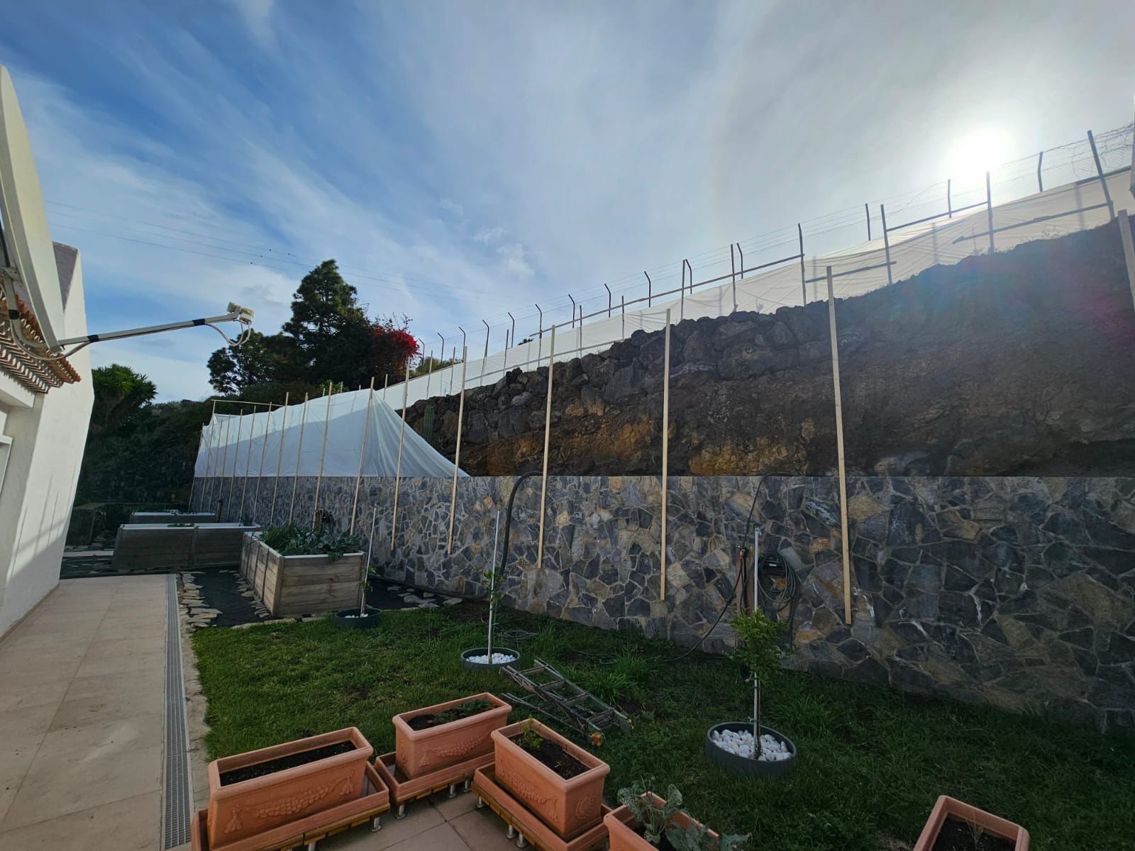 Un patio trasero soleado con un muro de piedra cubierto de malla. Un arriate y plantas en macetas descansan sobre el césped.