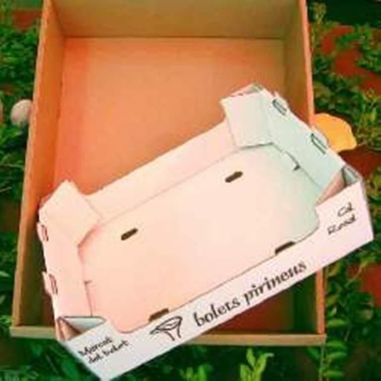 Una caja de cartón con un recipiente blanco dentro.