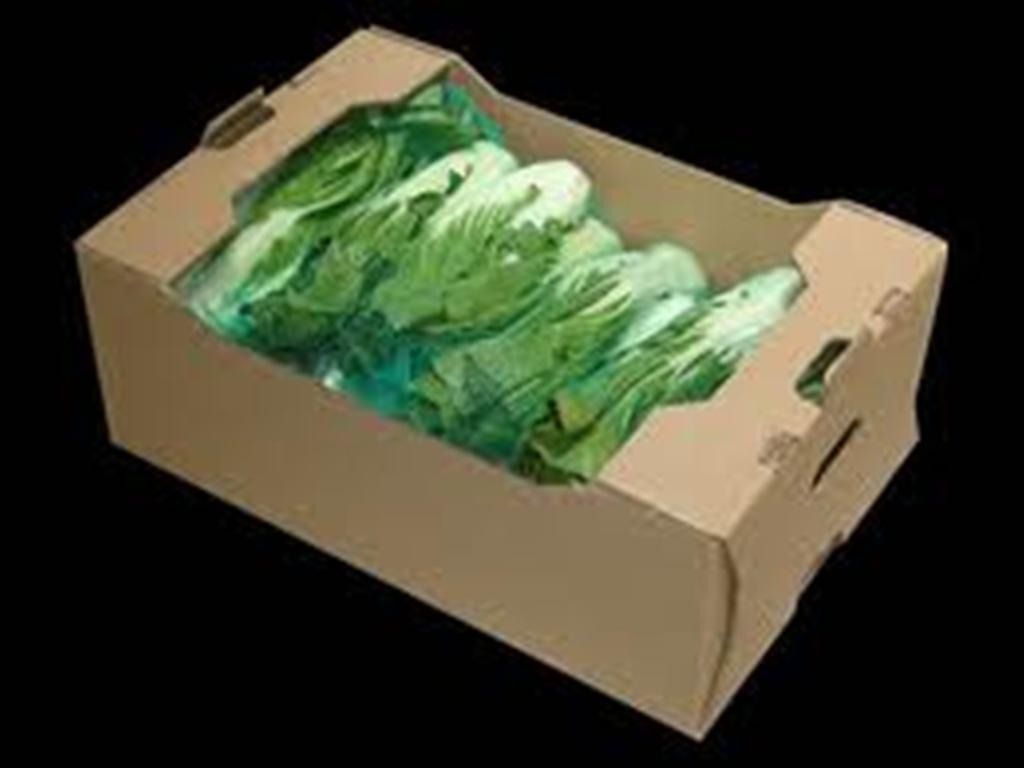 Una caja de cartón llena de verduras verdes sobre un fondo negro.