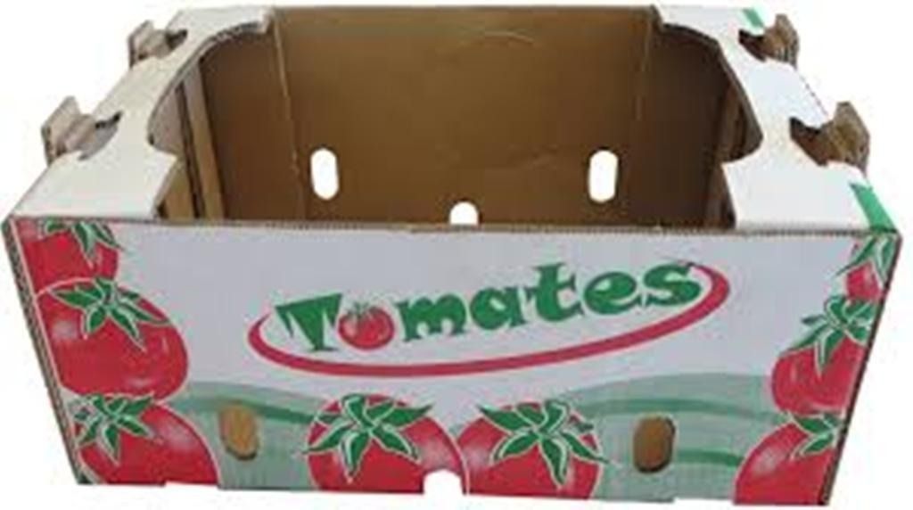 Una caja de cartón llena de tomates sobre un fondo blanco.